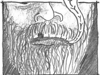 comic drawing close up of bearded man saying "pussy"