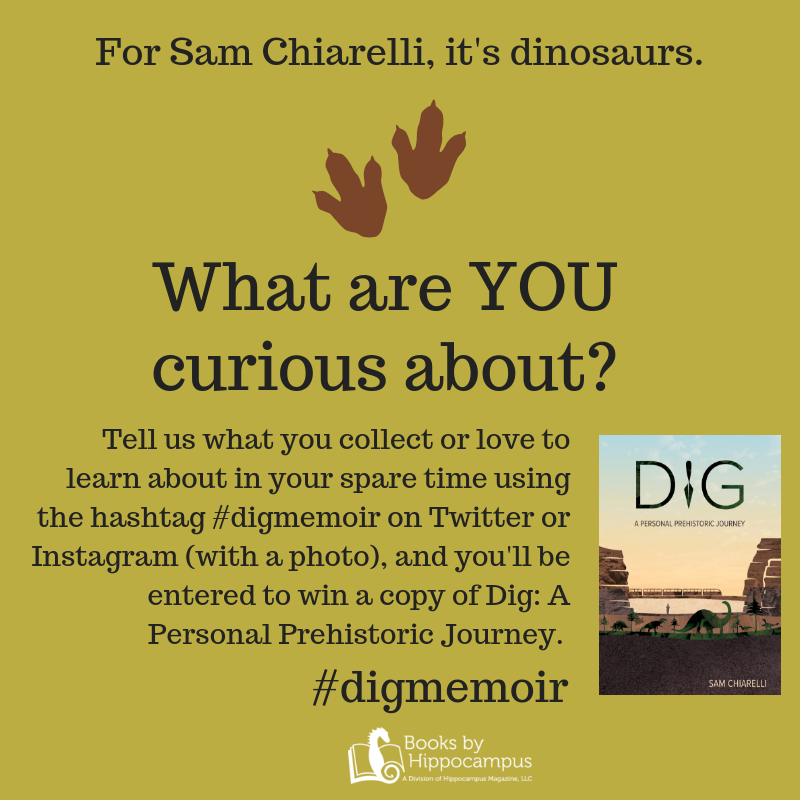 dig contest graphic that asks to share by nov 9 what you're curious about on social using hashtag digmemoir